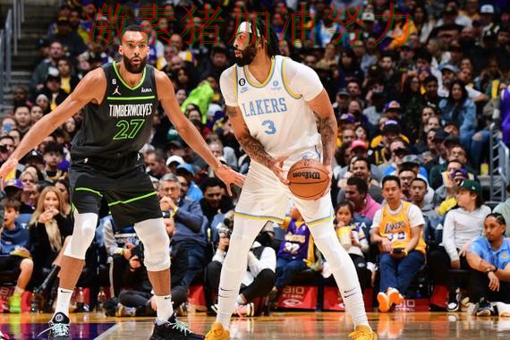 鹈鹕关键战失利让外界看法再次改变